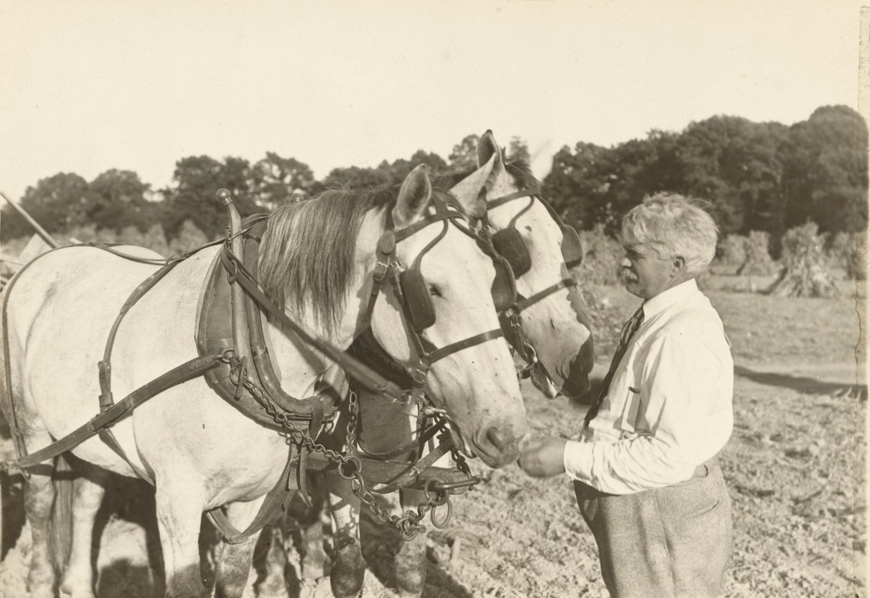 Sem título, ca. 1935. de Lewis Wickes Hine