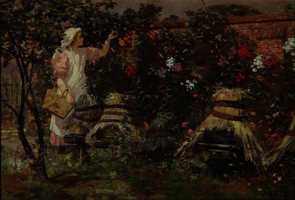 Colméias de Meninas e Abelhas de Lexden L. Pocock