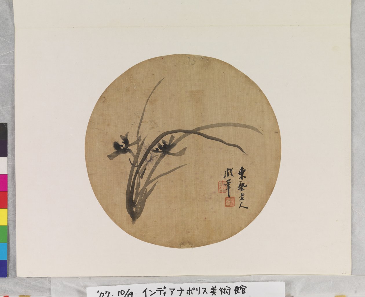 Orquídea em flor de Li Chen