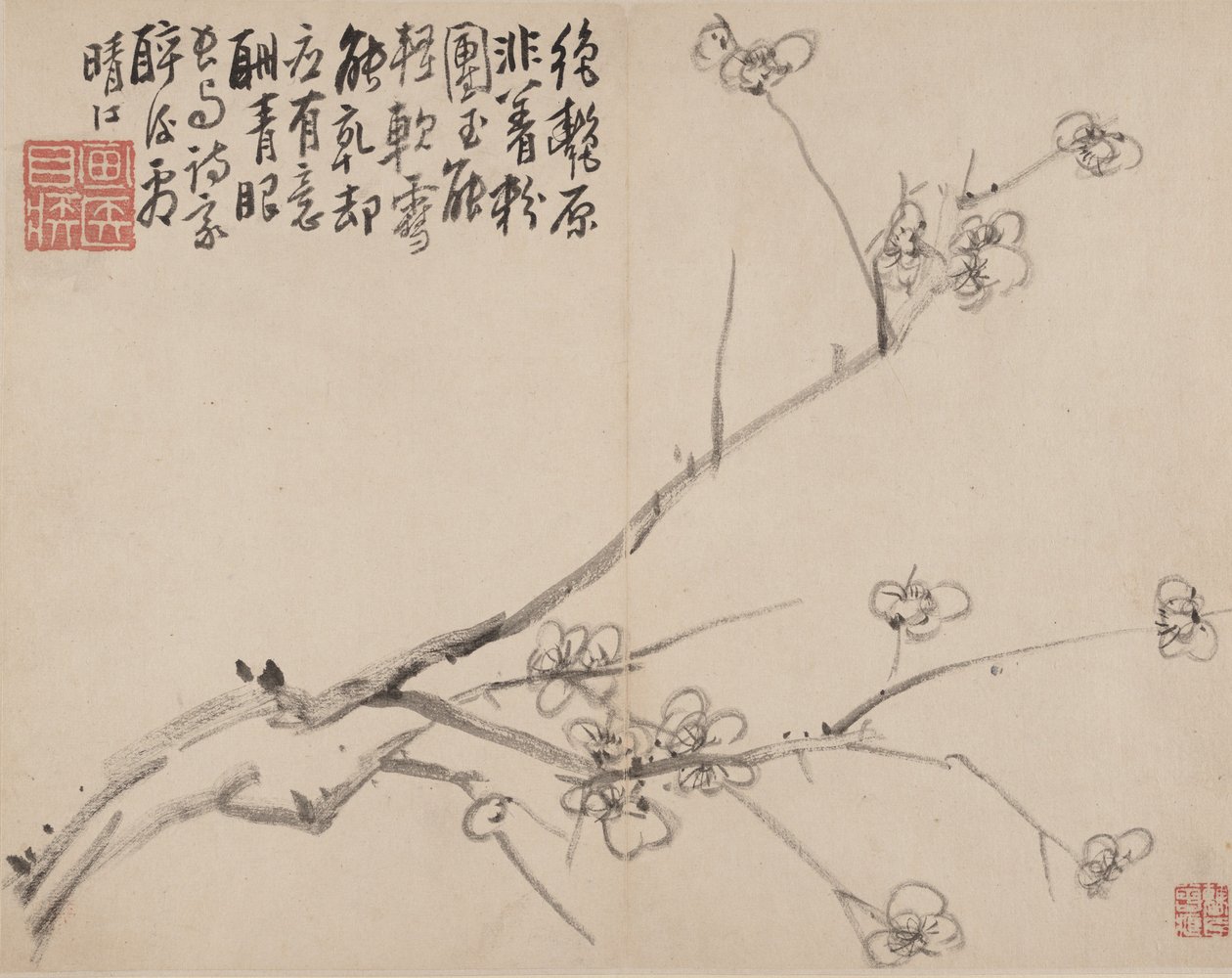 Álbum de ameixa em flor, 1742. de Li Fangying