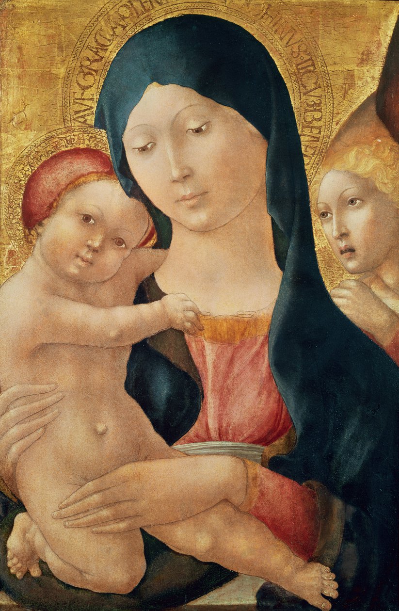Virgem e criança com um anjo, c.1468-70 (tempera no painel) de Liberale da Verona