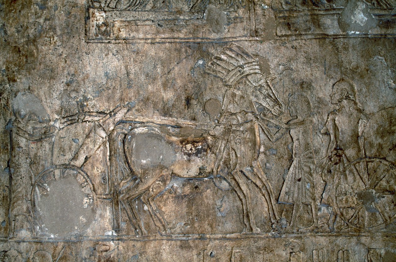 Alívio de base com carroça, Necrópole de Tell el-Amarna, Egipto, Civilização egípcia, Novo Reino, Dinastia XVIII de Unbekannt Unbekannt
