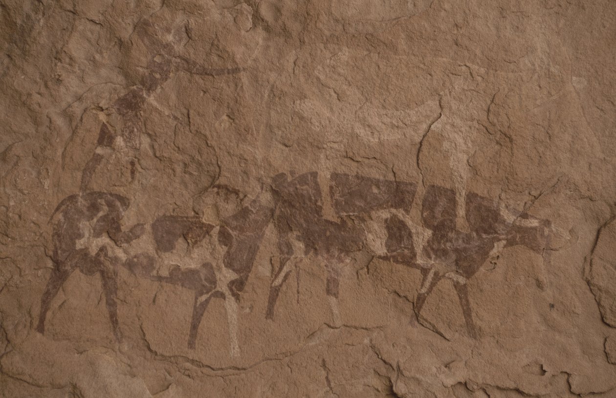 Gado e figuras humanas, pintura rupestre, Oued em Djeran, Perto de Djanet, Tassili n