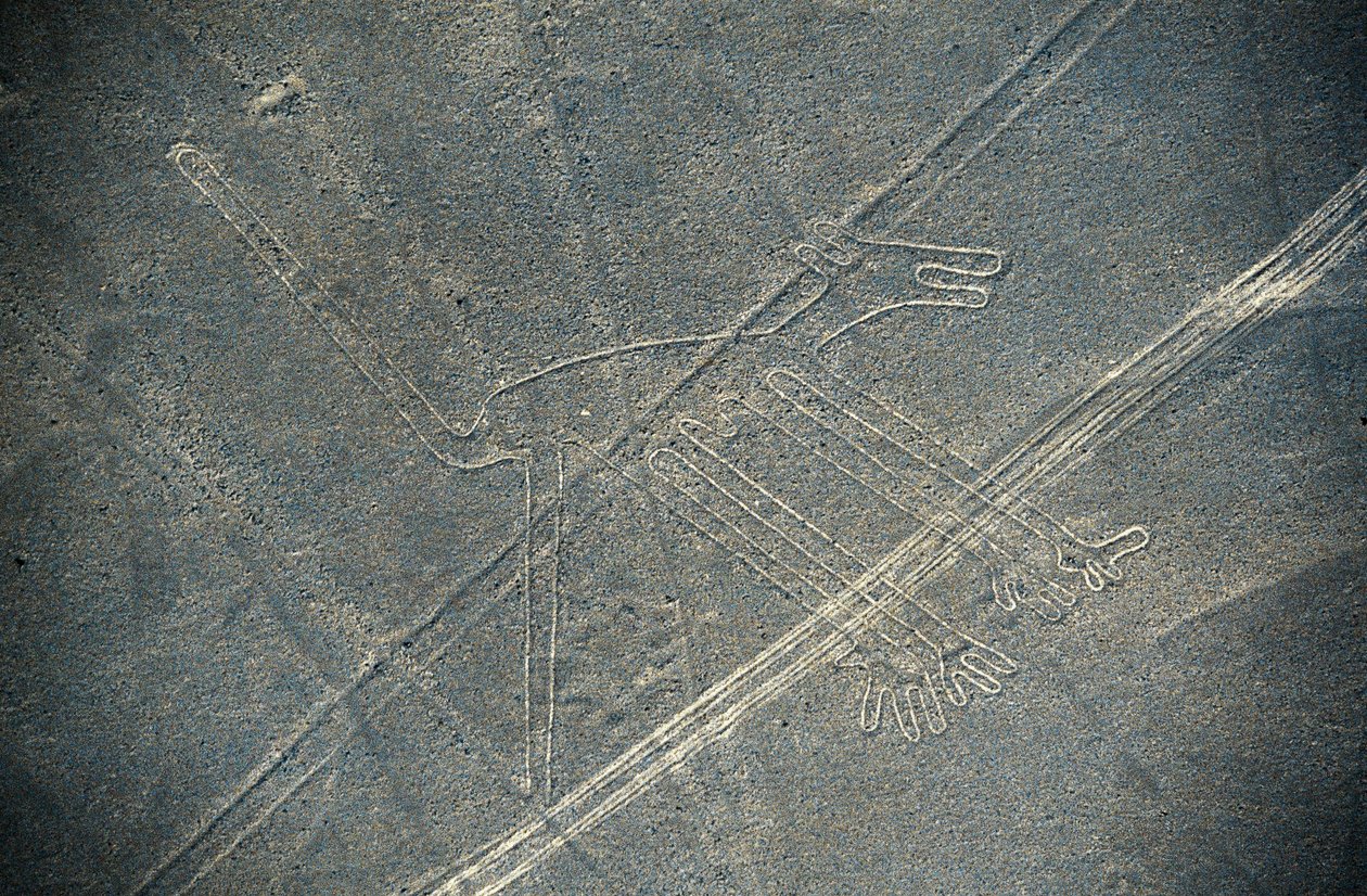Cão, Linhas Nazca, Nazca, Peru, Civilização Nazca (foto) de Unbekannt Unbekannt