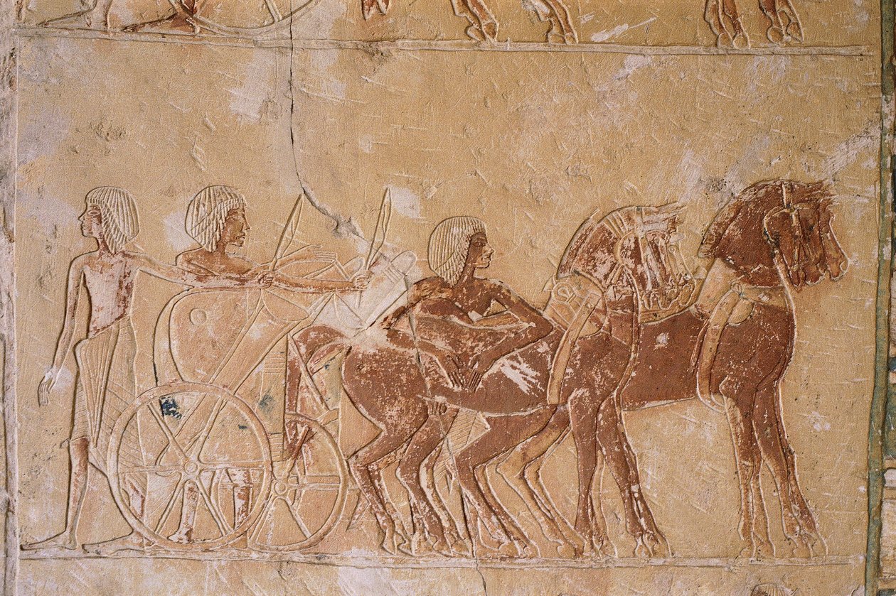 Egipto, Cairo, Antigo Memphis, Necrópole de Saqqara, relevo pintado em Túmulo de Horemheb de Unbekannt Unbekannt