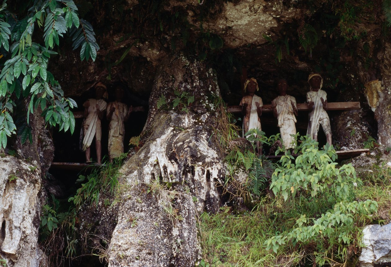 Nichos funerários com figuras mortuárias de Tau Tau, aldeia de Marrante, Tana Toraja, ilha de Sulawesi, Indonésia de Unbekannt Unbekannt