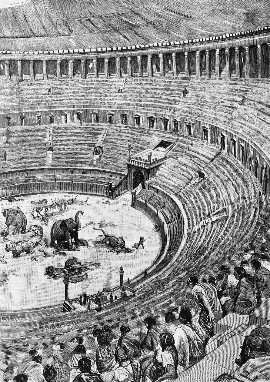 Inauguração do Anfiteatro Flamengo, conhecido como Coliseu, em Roma em 80 d.C., com o público assistindo ao combate de animais, ilustração da História de Roma, de Francesco Bertolini (1836-1909), Treves, Milão de Unbekannt Unbekannt