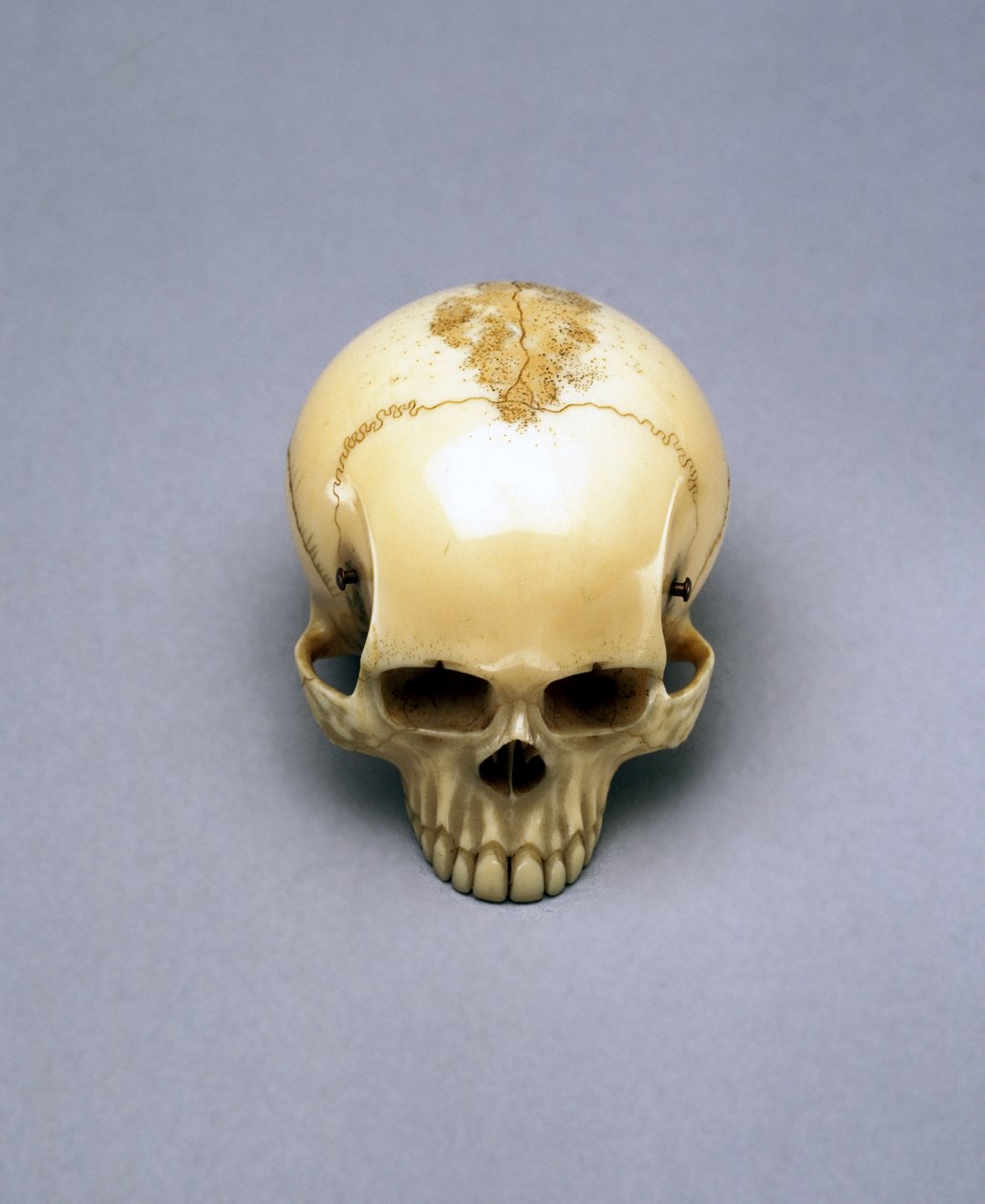 Modelo de um crânio, provavelmente um netsuke, japonês de Unbekannt Unbekannt