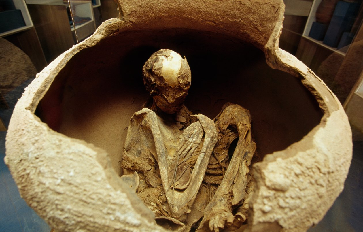 A mamã numa urna de cerâmica. A civilização do Atacama, Paleolítico. de Unbekannt Unbekannt