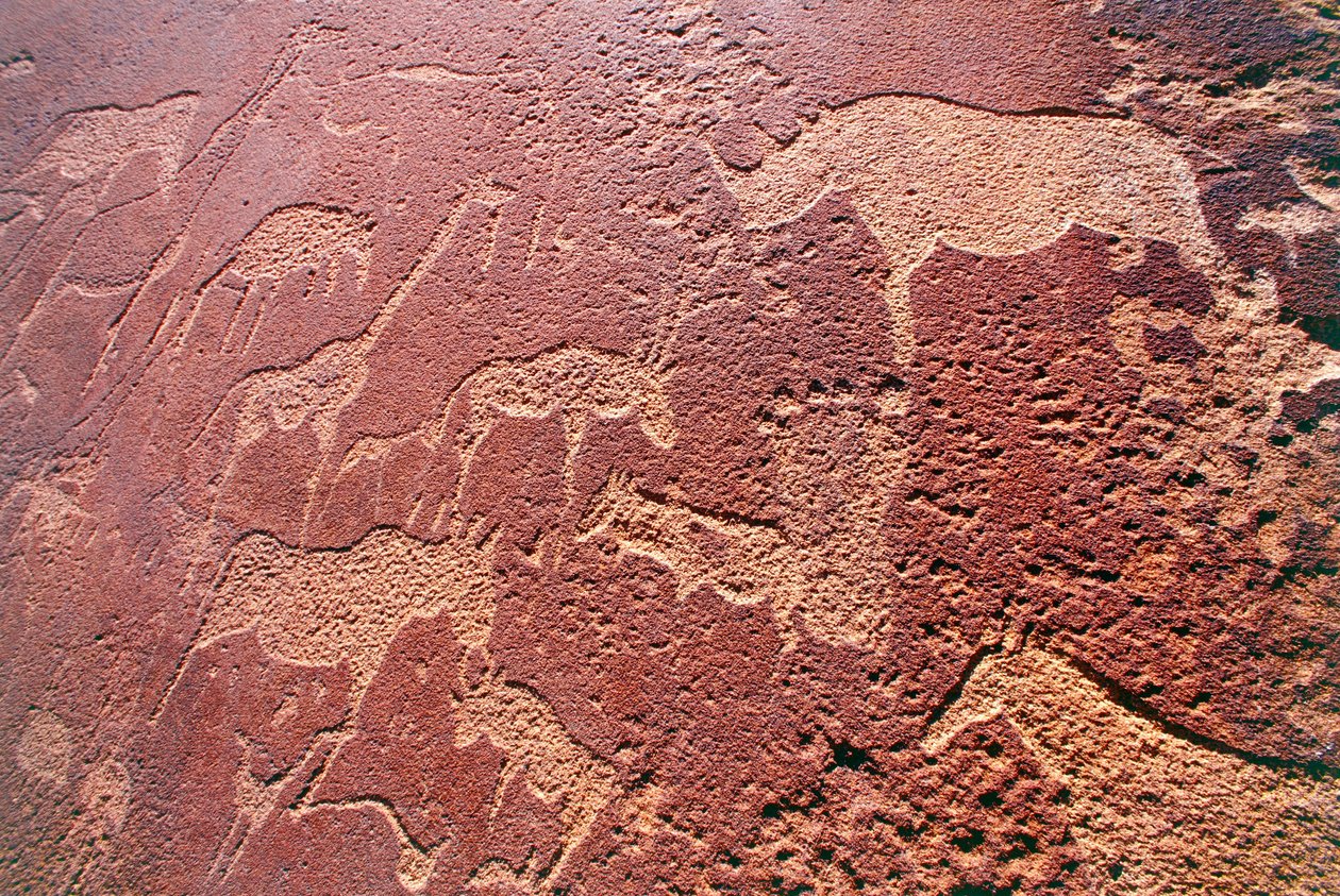 Namíbia, Damaraland Wilderness Area, Twyfelfontein, Brandberg Mountains, gravuras rupestres da Idade da Pedra de Unbekannt Unbekannt