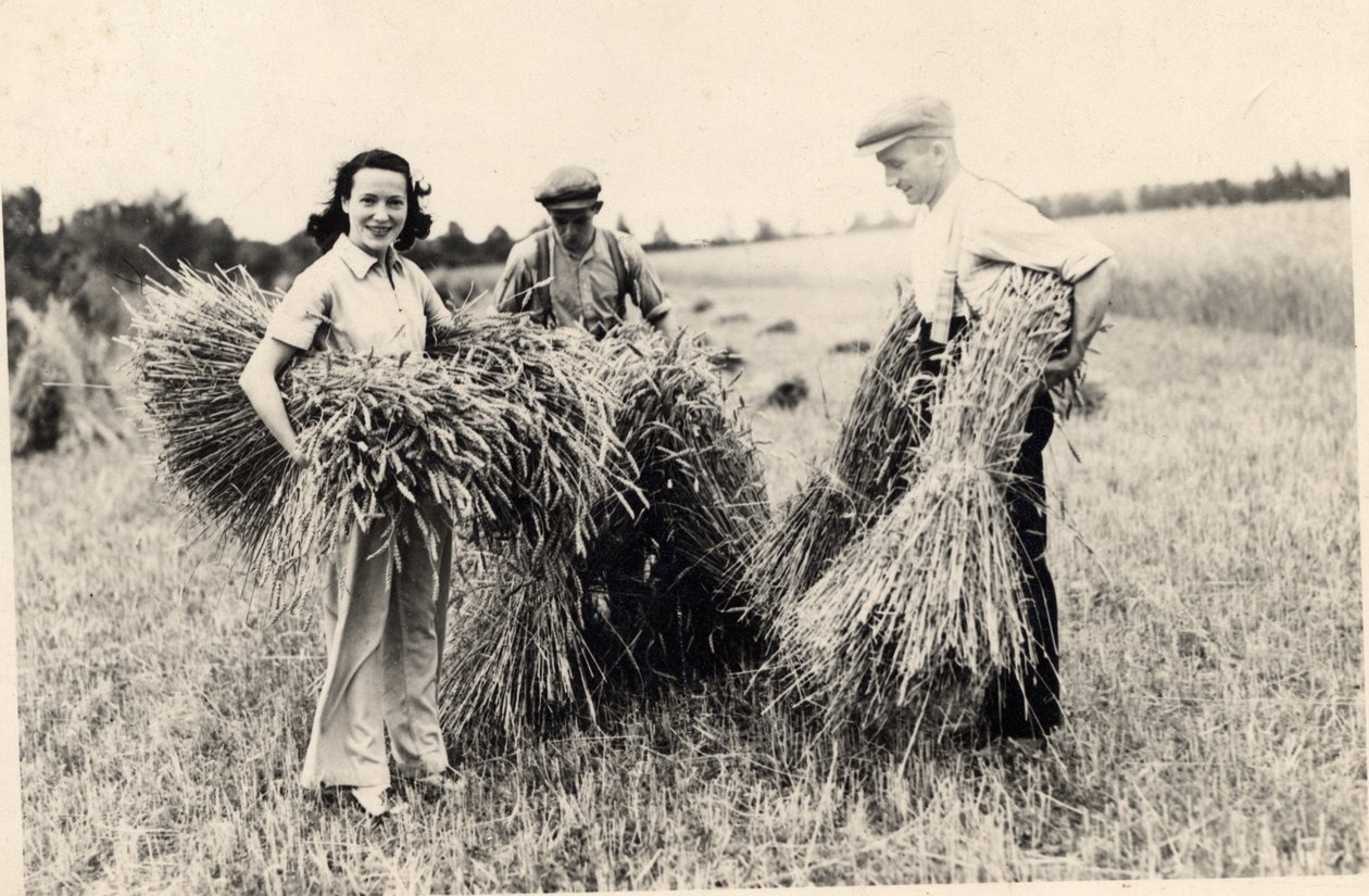 Fotografia de Adele Astaire na época da colheita (foto a p/b) de Unbekannt Unbekannt
