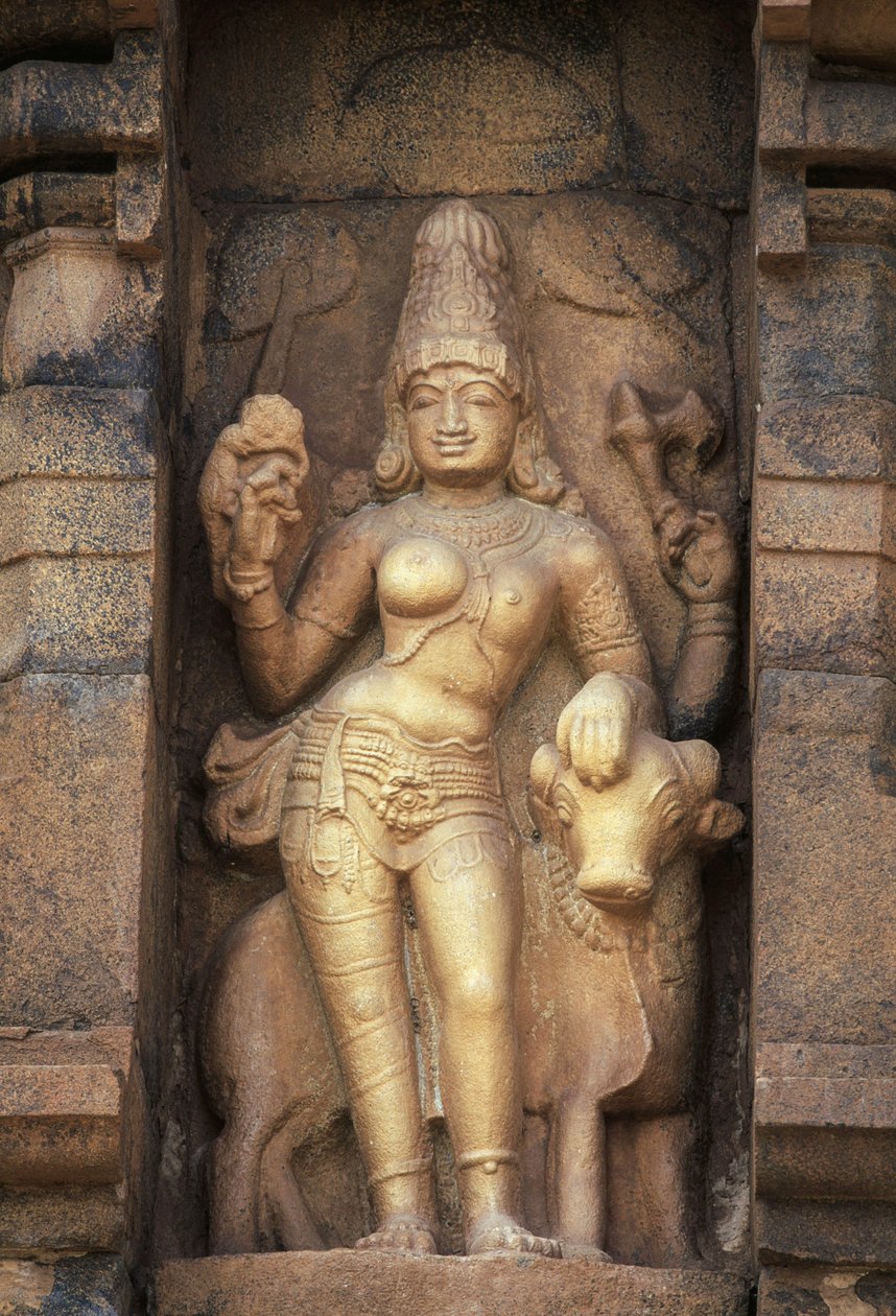 Alívio representando Parvati, templo Brihadisvara, Gangaikonda Cholapuram, Tamil Nadu, Índia de Unbekannt Unbekannt