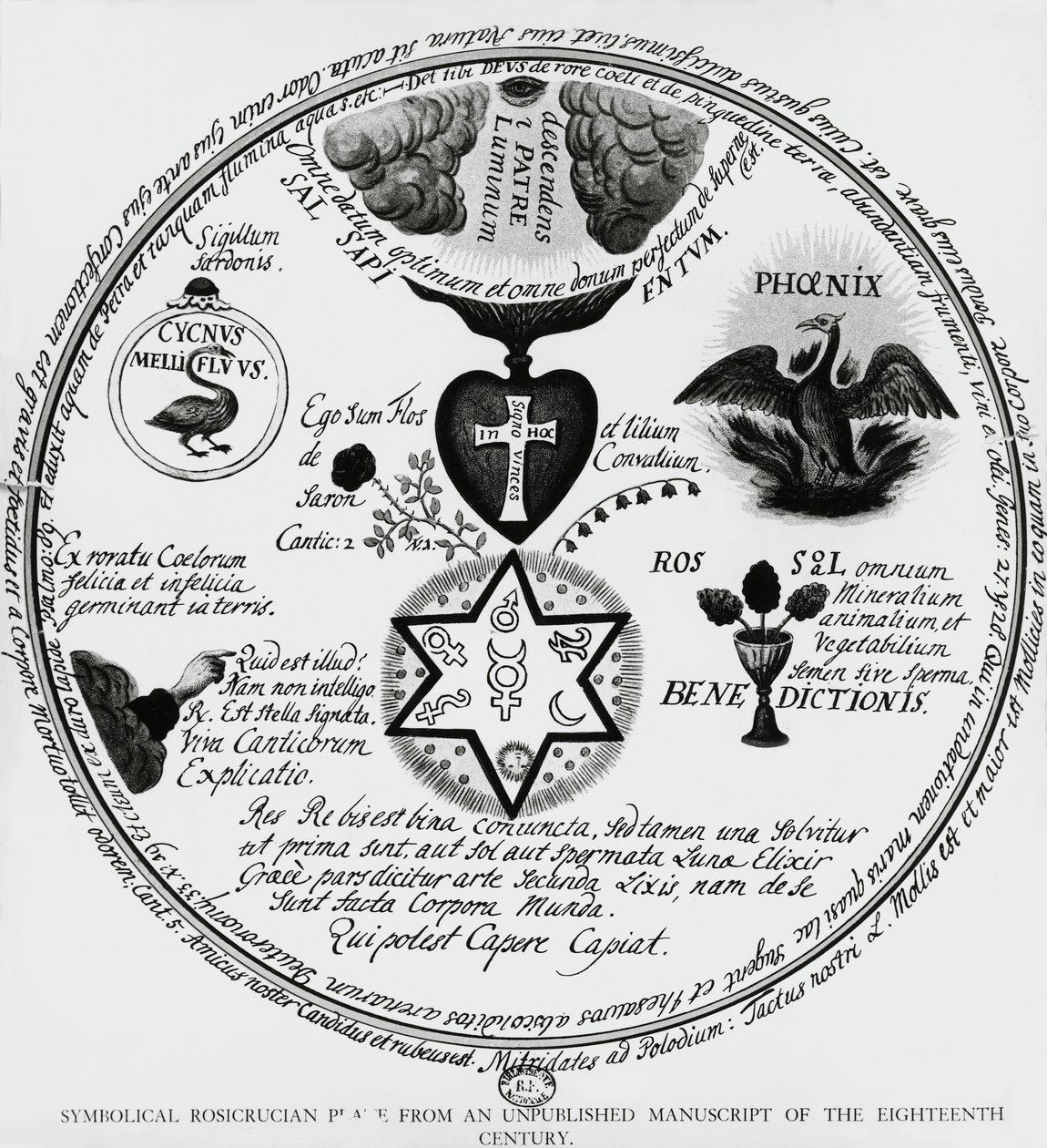 Símbolos dos Rosacruzes, desenho do manuscrito do século XVIII, França de Unbekannt Unbekannt