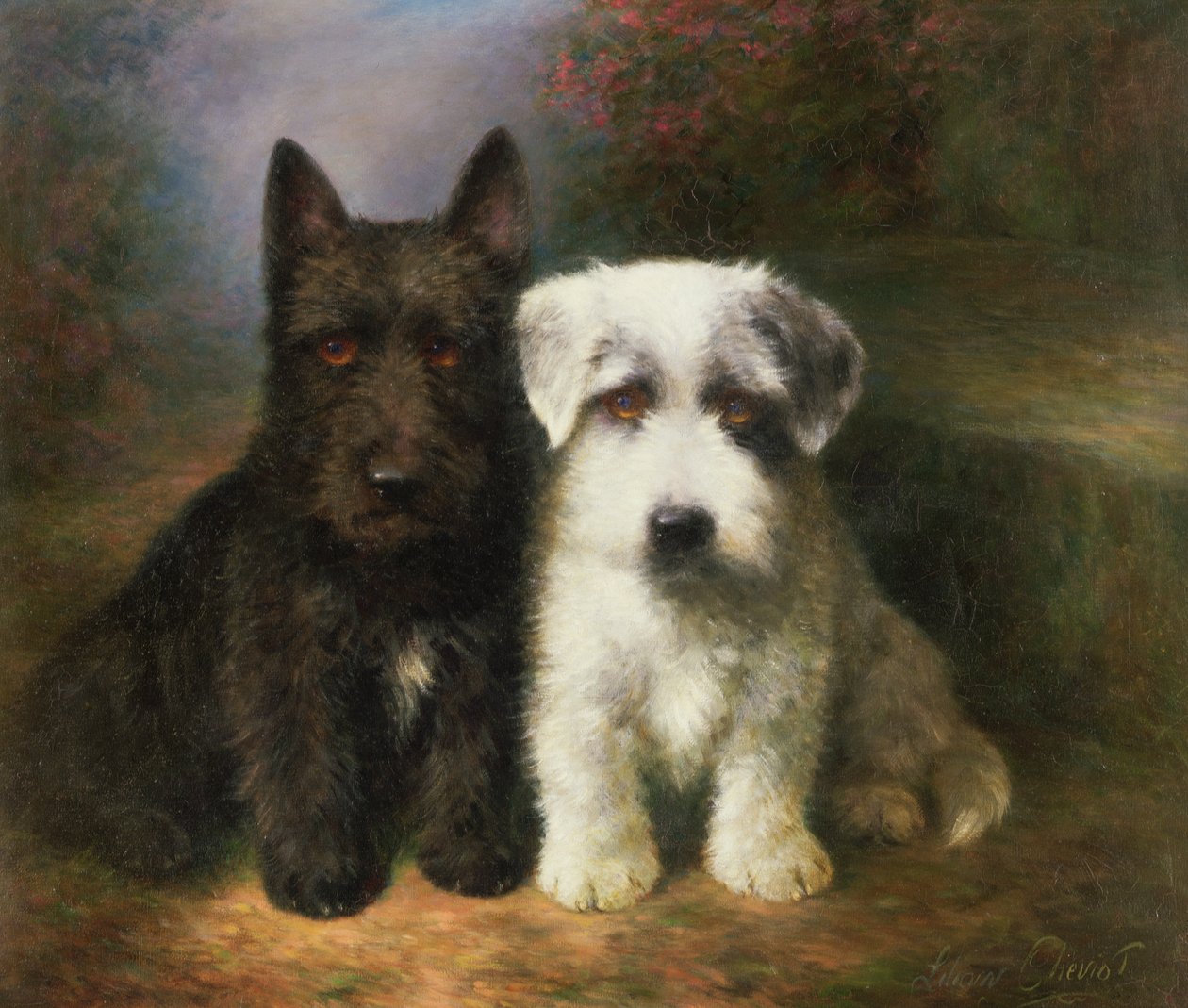 Um escocês e um Sealyham Terrier de Lilian Cheviot