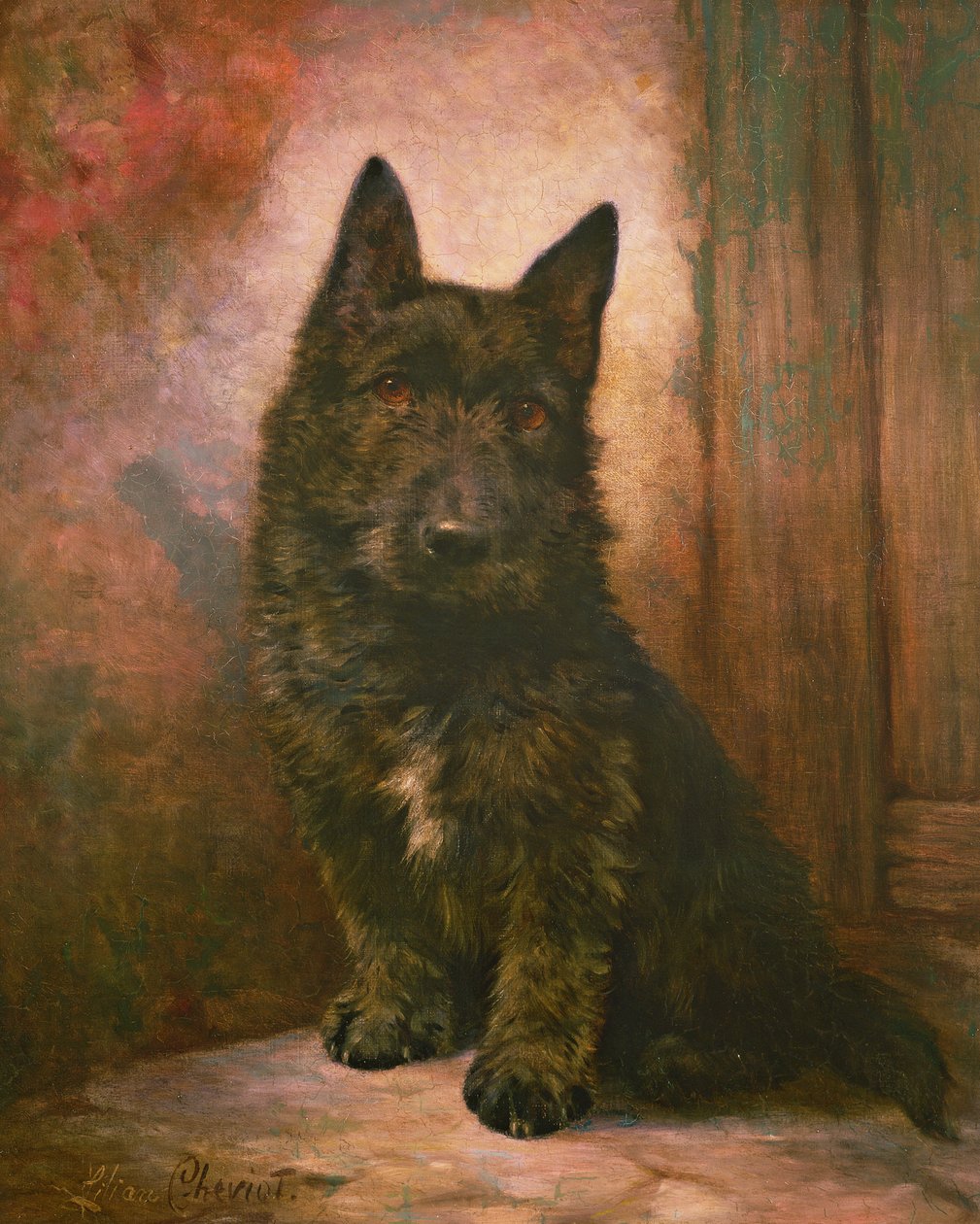 Filhote de cachorro do Scottie de Lilian Cheviot