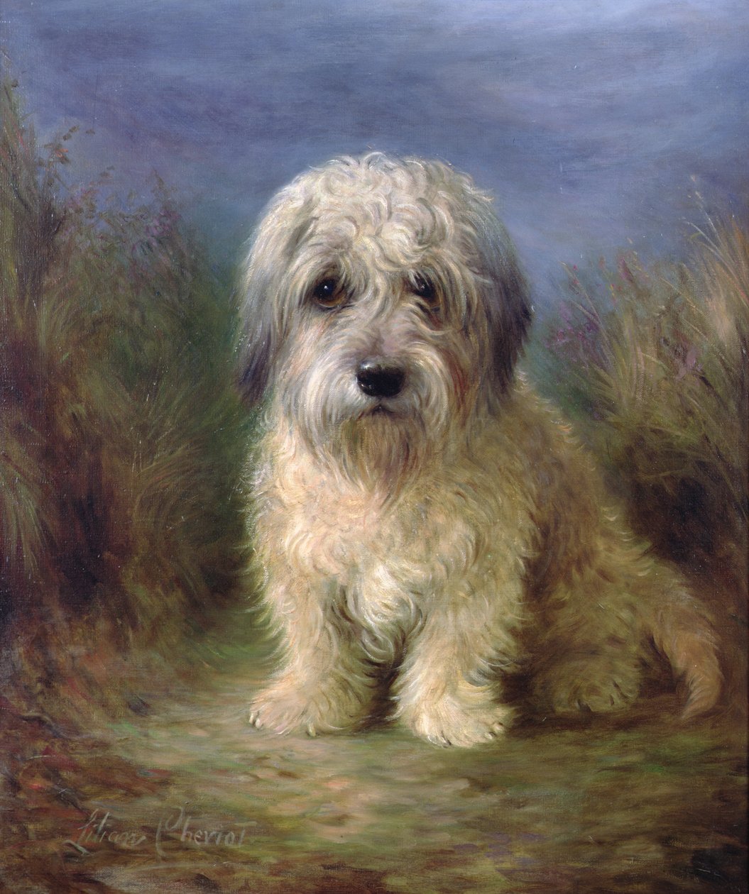 Dandie Dinmont Terrier (óleo sobre tela) de Lilian Cheviot