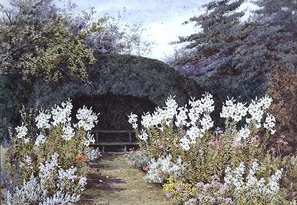 Lírios da Páscoa no Jardim de Lilian Stannard