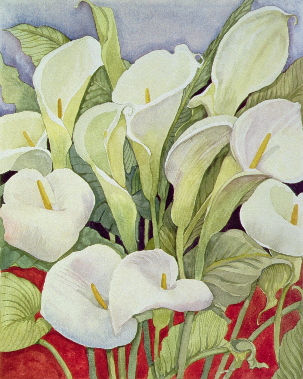 Arum Lillies, 1978 de Lillian Delevoryas