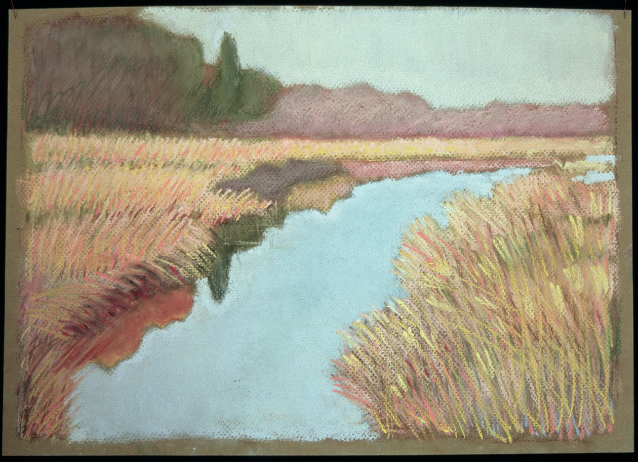 Maré Total, 1990 de Lillian Delevoryas