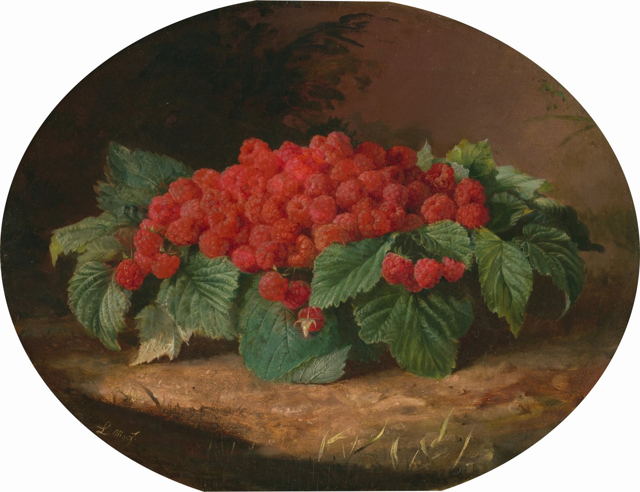 Framboesas, c.1859 (óleo sobre tela) de Lilly Martin Spencer