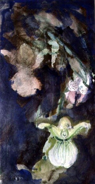 Orquídeas De Chinelo de Lily Blatherwick