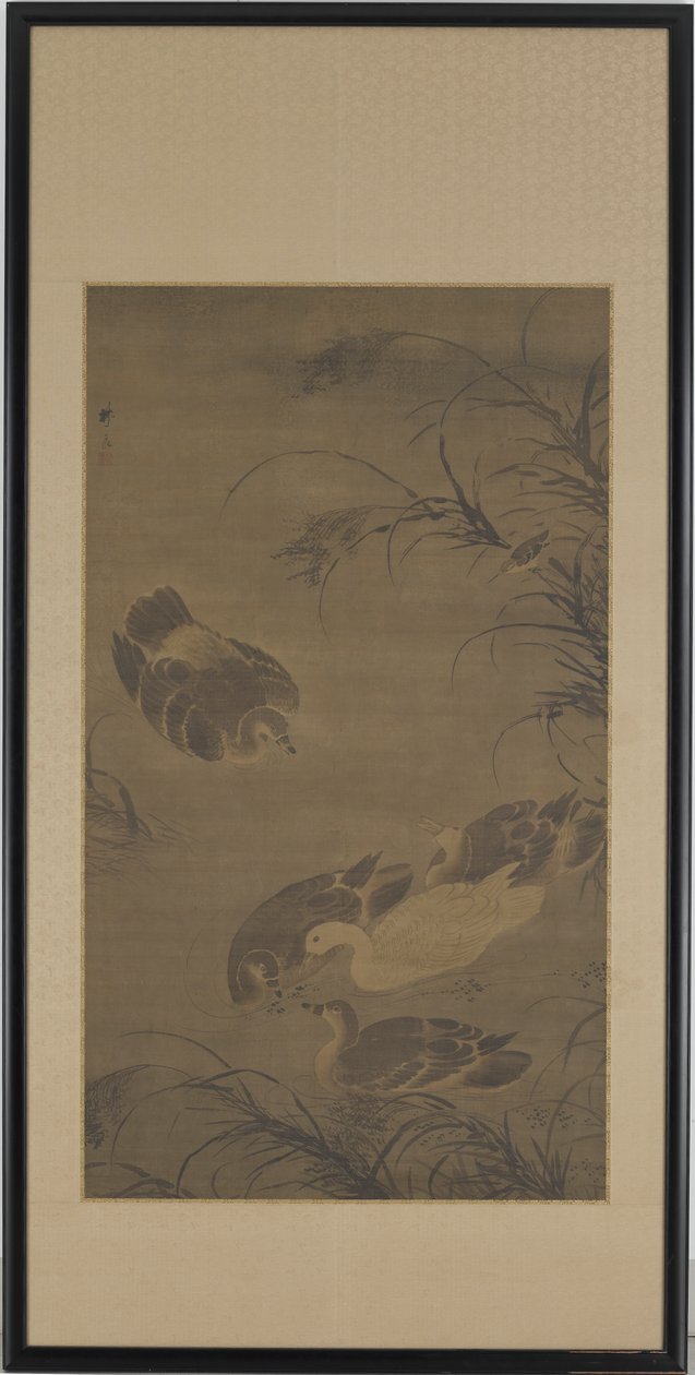 Gansos nadadores de Lin Liang