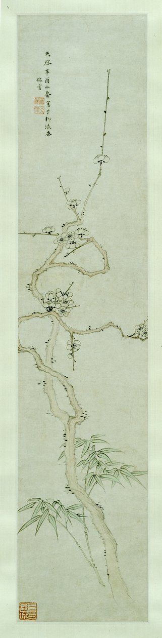 Prunus e bambu de Lin Xue