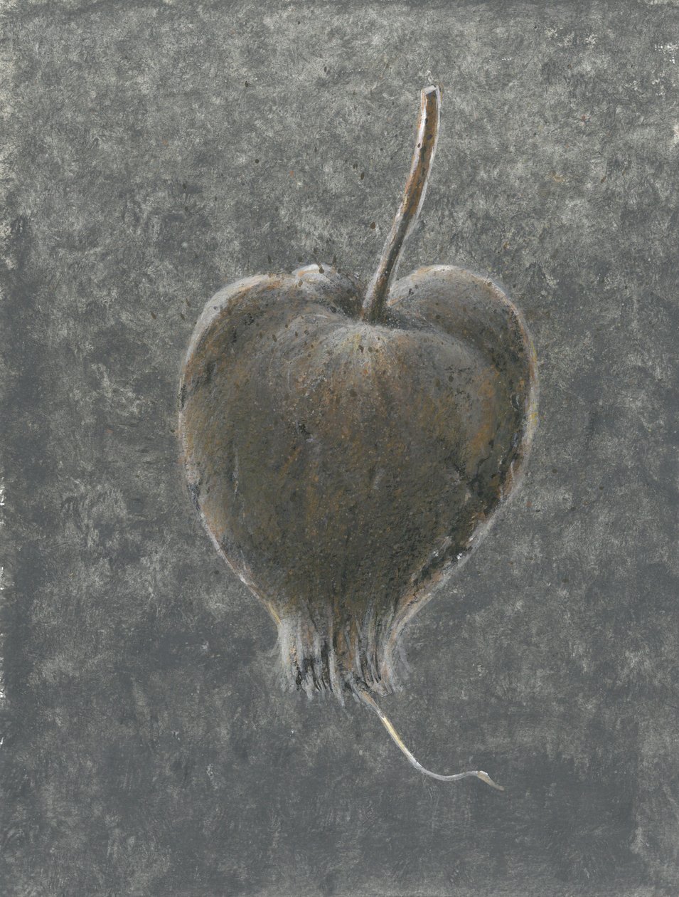 Barringtonia Acutangula (acrílico sobre papel) de Lincoln Seligman