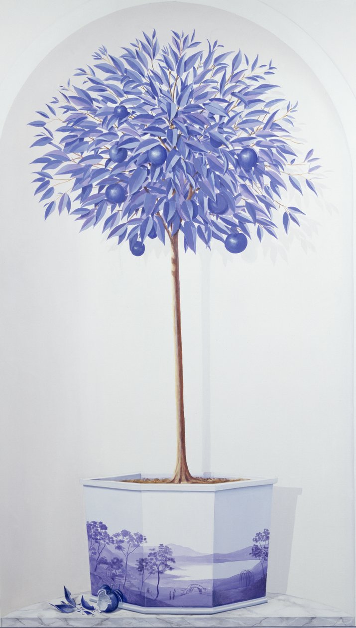China Blue Tree definido em um nicho de Lincoln Seligman