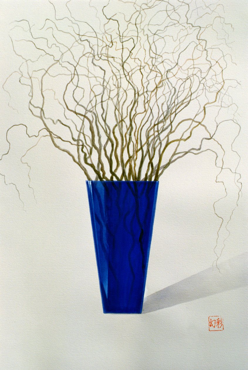 Salgueiro Chinês, 1990 de Lincoln Seligman