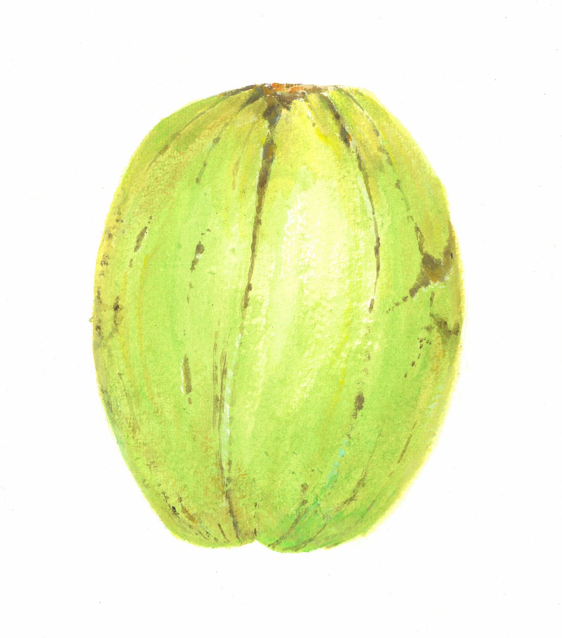 Coco, Sri Lanka, 2015 de Lincoln Seligman