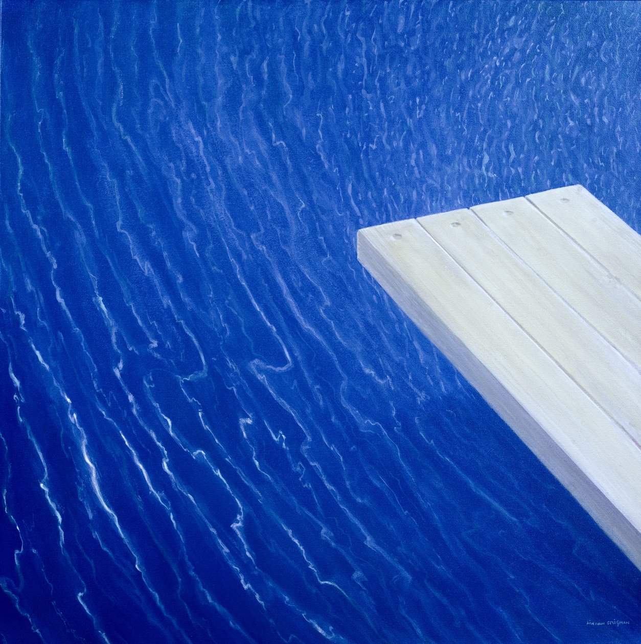 Prancha de Mergulho, 2004 (acrílico) de Lincoln Seligman