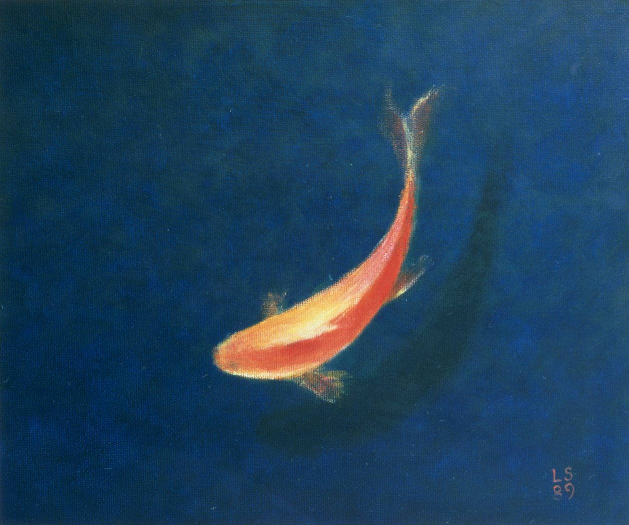 Peixinho de Lincoln Seligman