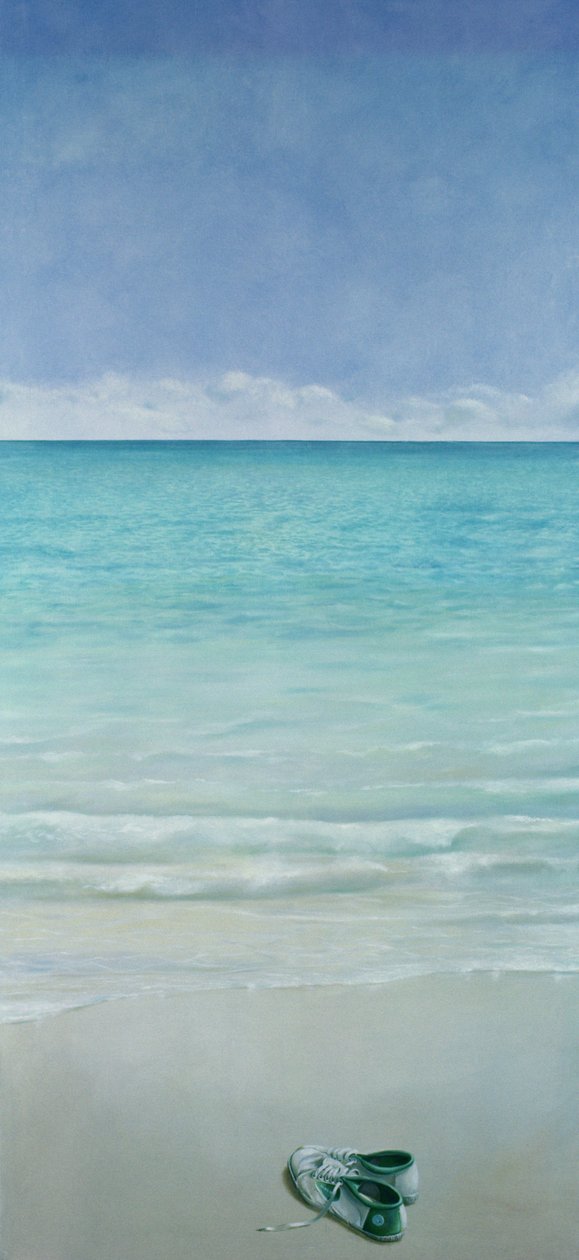 Green Flash, 1990 (acrílico sobre tela) de Lincoln Seligman