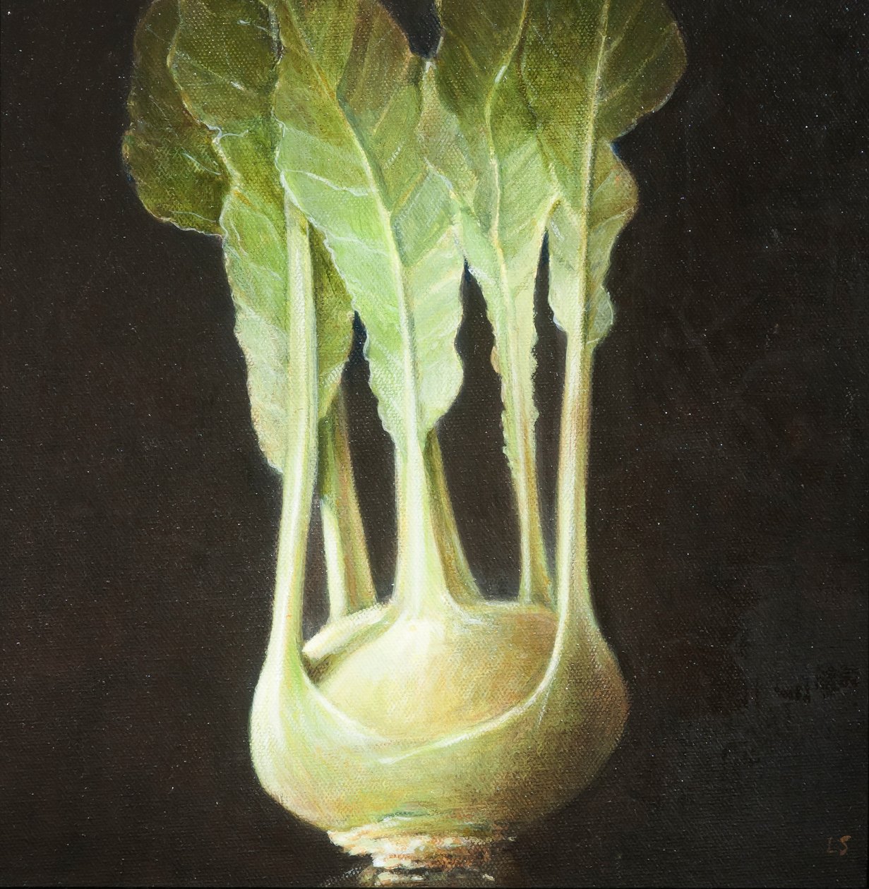 Kohl Rabi, 2012 (acrílico sobre tela) de Lincoln Seligman