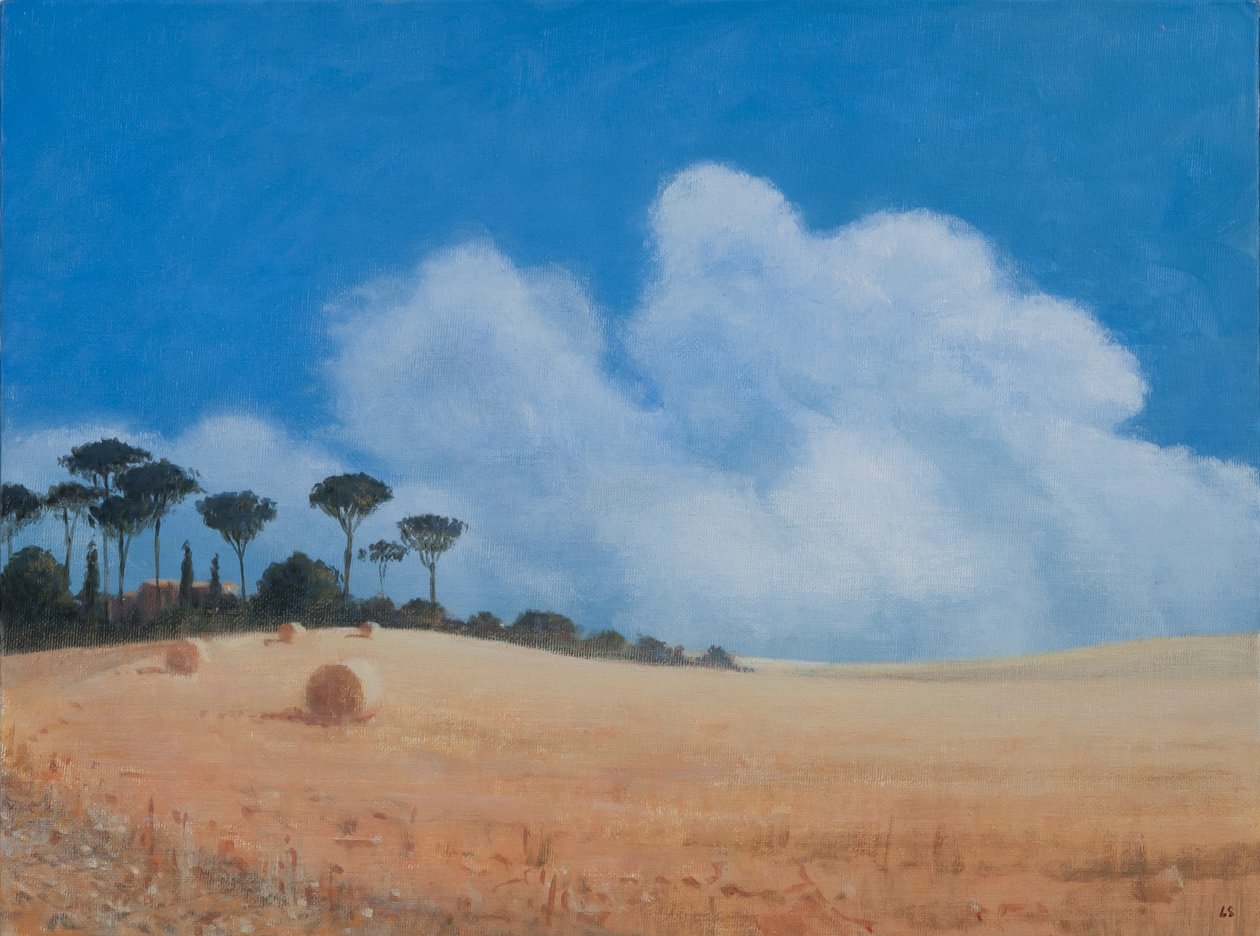 Paisagem perto de Paganico, 2012 (acrílico sobre tela) de Lincoln Seligman