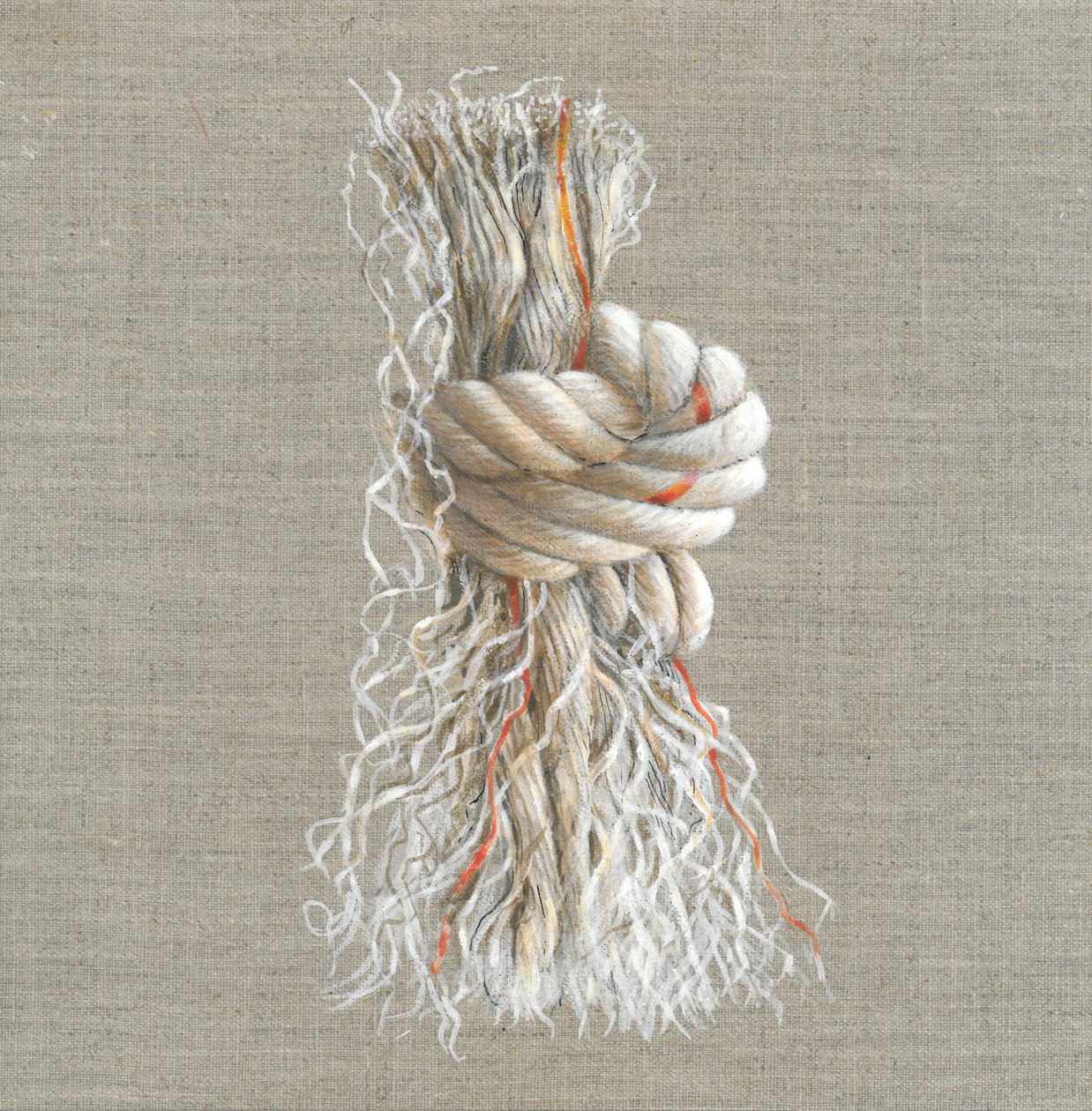 Nó de corda (acrílico sobre papel) de Lincoln Seligman