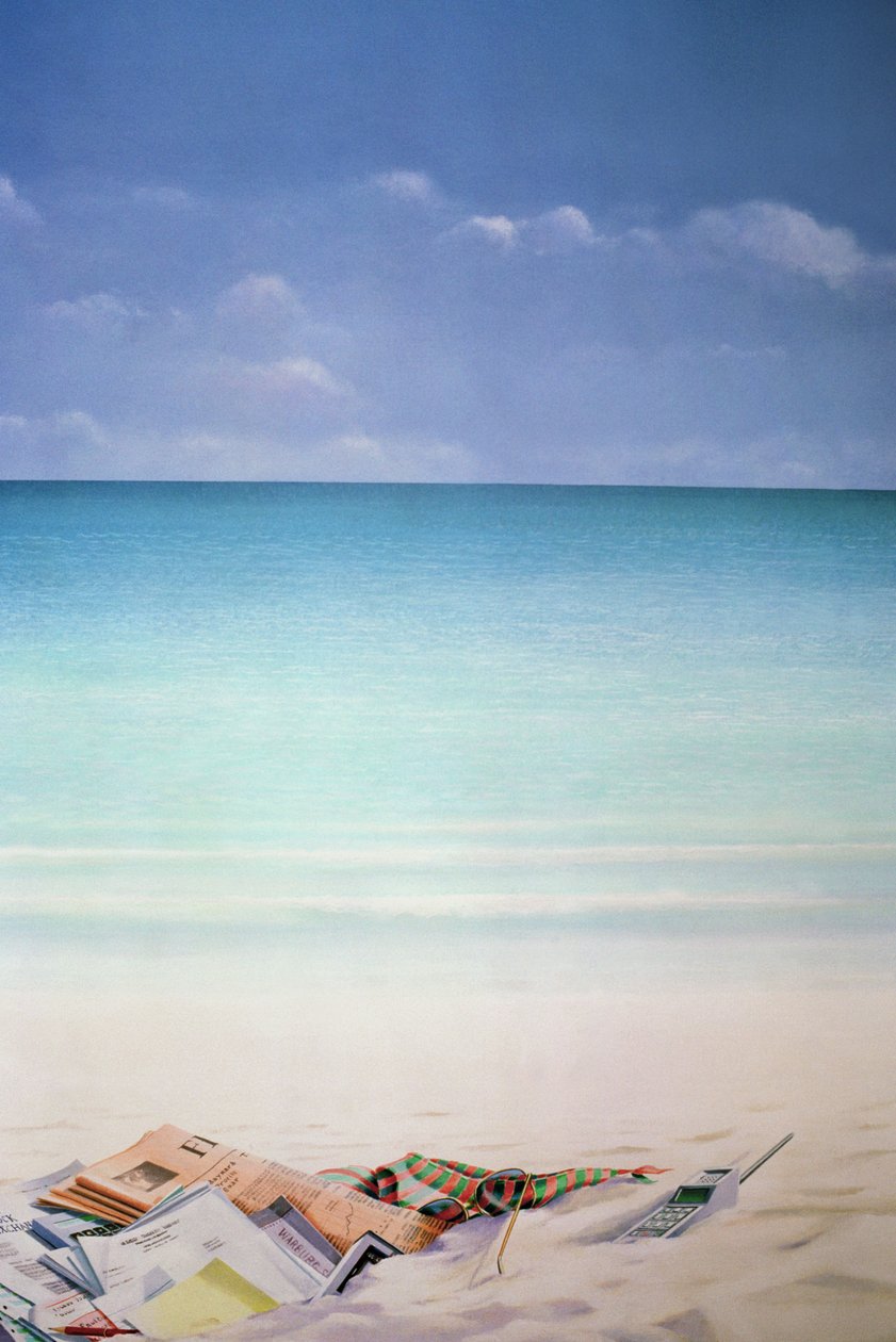 Sol, Areia e Dinheiro I de Lincoln Seligman