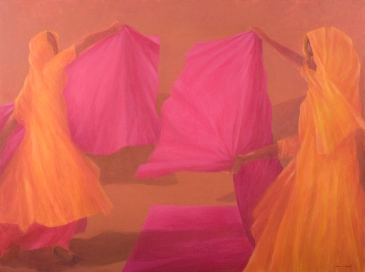 Amarrando saris de Lincoln Seligman