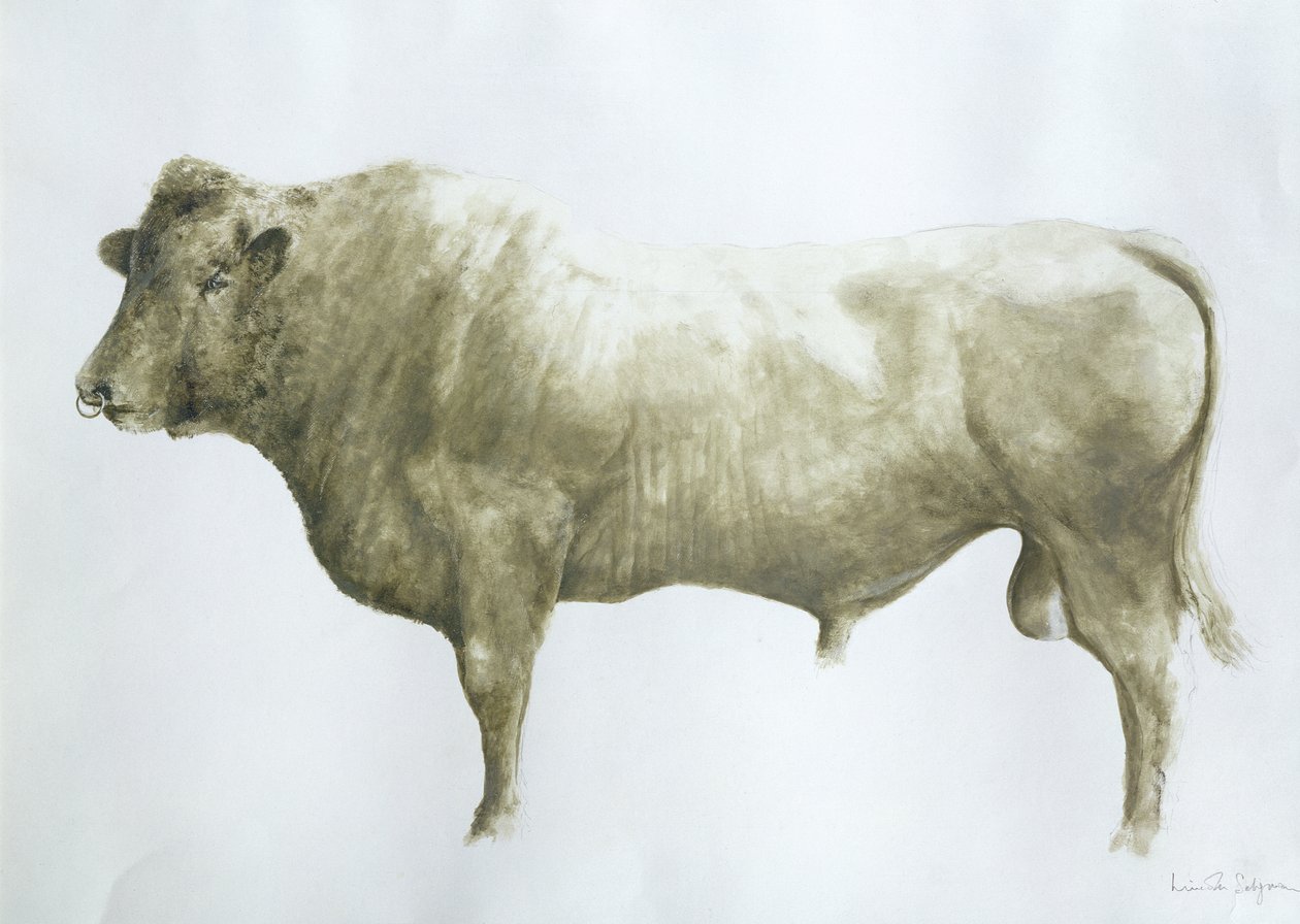 Islay Bull, 2004 (acrílico sobre tela) de Lincoln Seligman