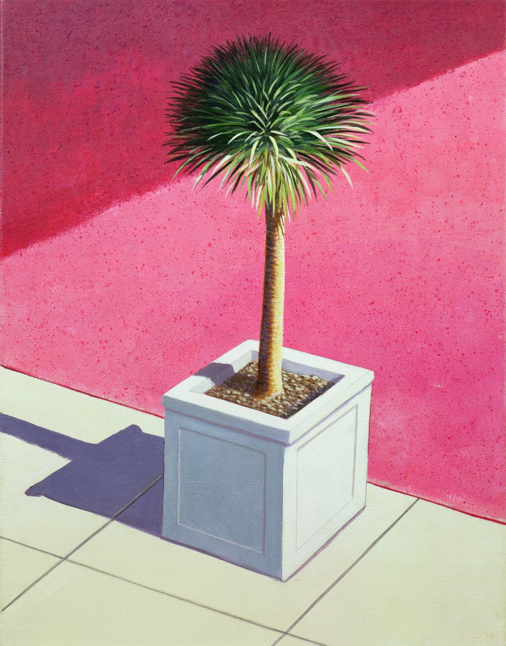 Palma pequena, 1995 (acrílico sobre tela) de Lincoln Seligman