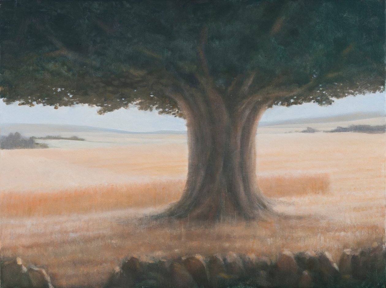 Árvore, Holwell, 2012 (acrílico sobre tela) de Lincoln Seligman