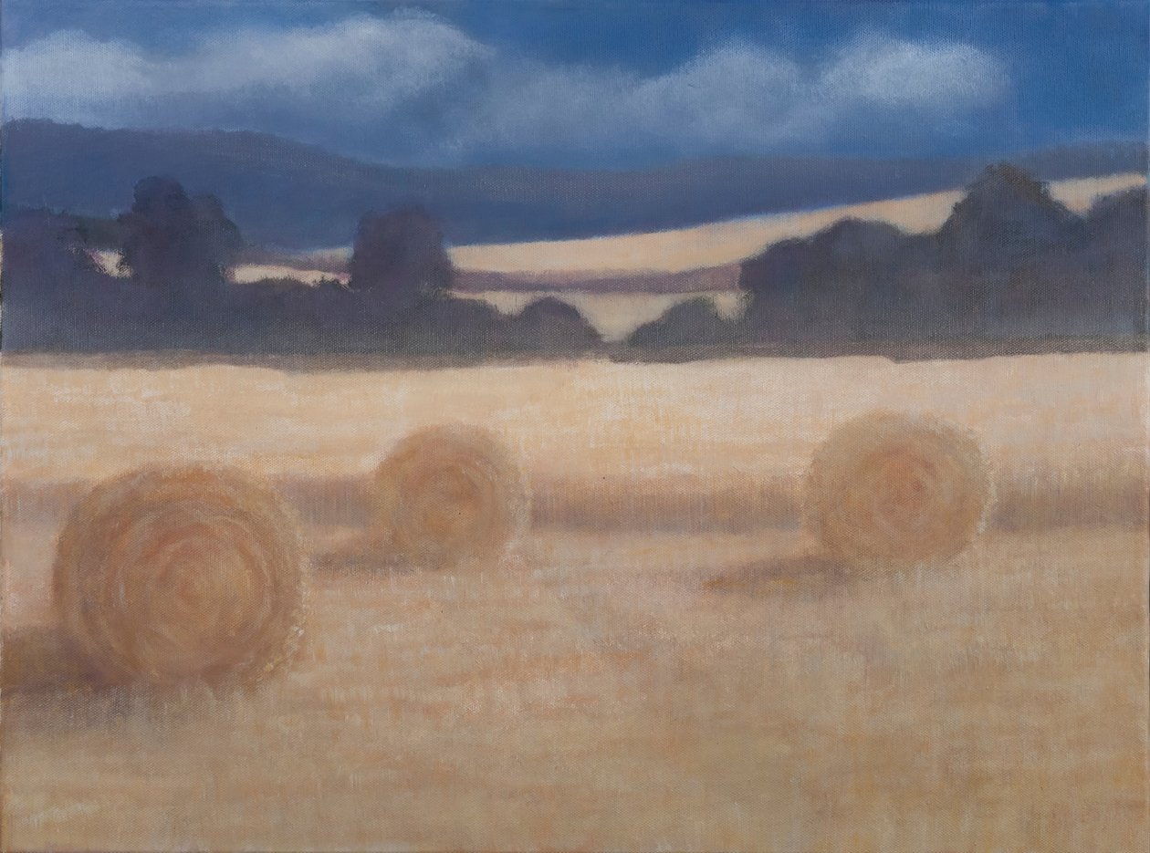 Dois fardos de feno, 2012 (acrílico sobre tela) de Lincoln Seligman