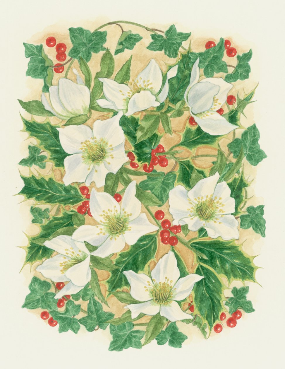 Rosas de Natal, 1997 (wc no papel) de Linda Benton