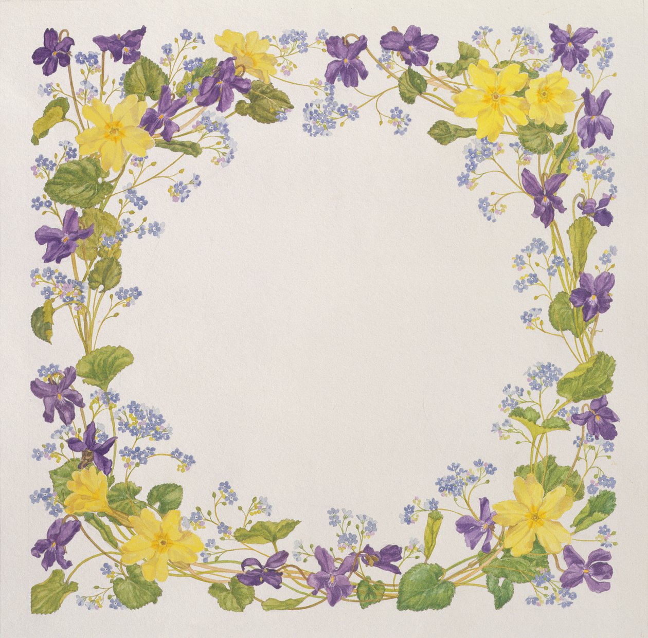 Primrose e Violet Square de Linda Benton