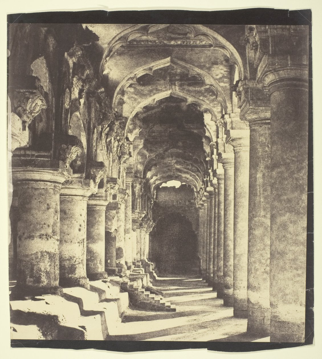Arcade em Quadrilátero de Linnaeus Tripe