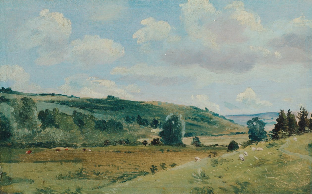Panorama de Lionel Constable