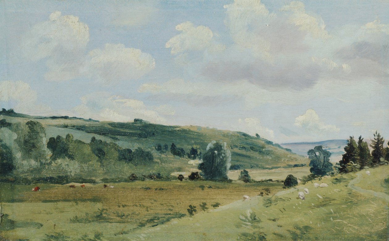 Paisagem, c.1849-55 (óleo no painel) de Lionel Constable