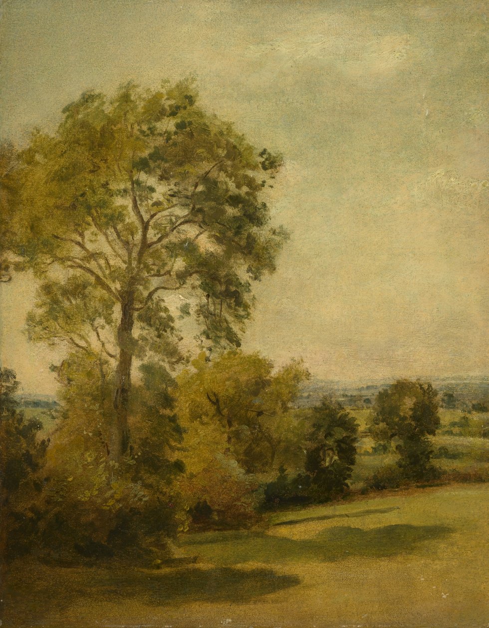 Árvore em uma paisagem, c.1850 de Lionel Constable