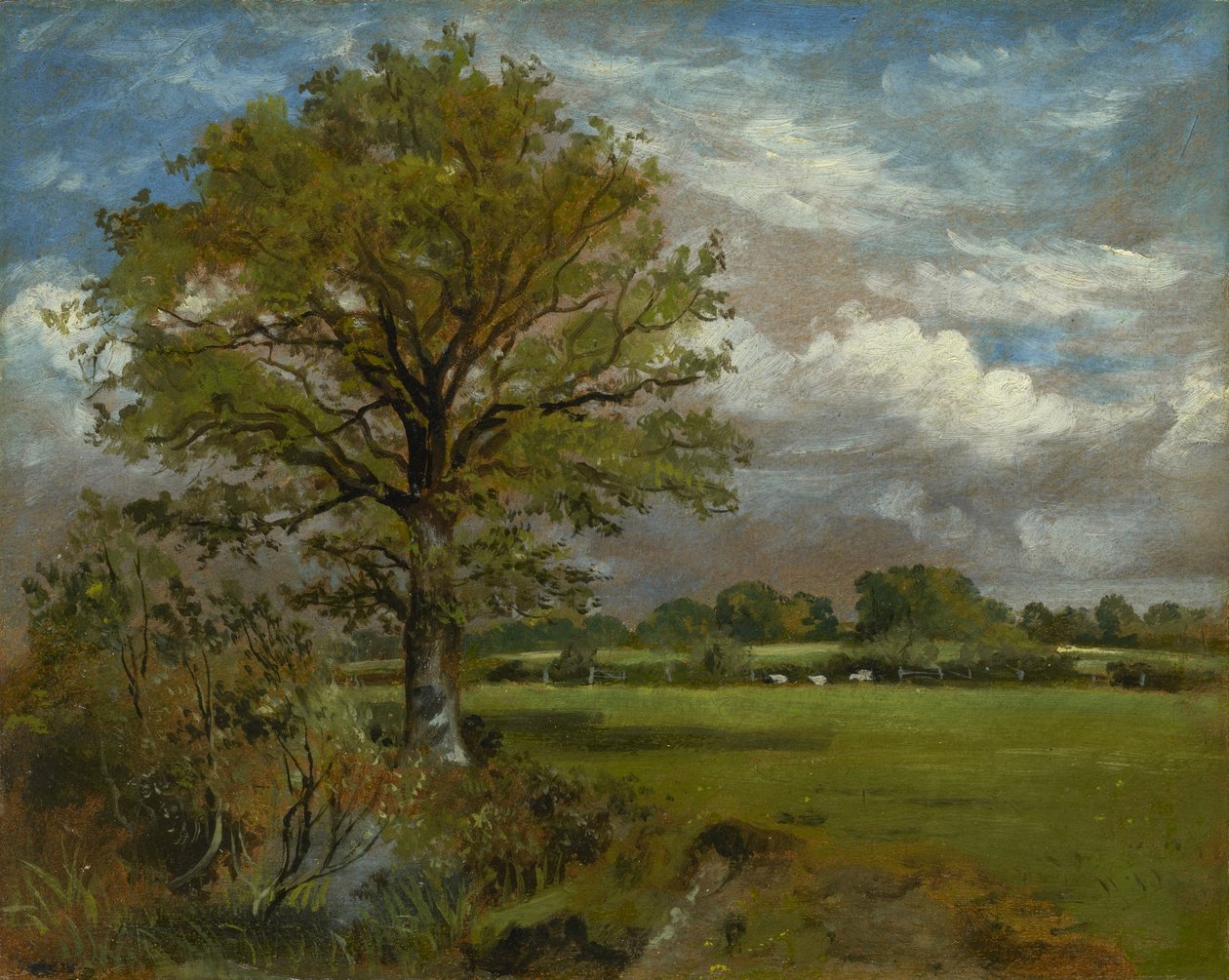 Árvore em um prado, c.1850 de Lionel Constable